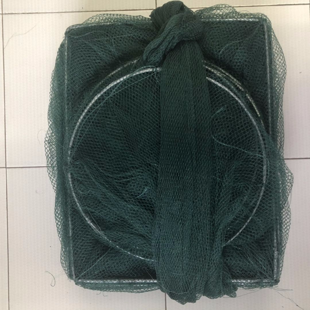 陈若轩探宝欧罗巴 比利时体验“速度与激情”‘火狐电竞平台’(图3) 火狐电竞