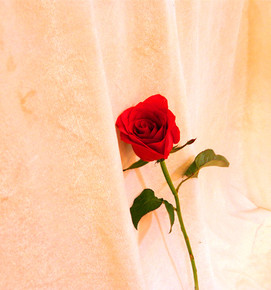 陈若轩探宝欧罗巴 比利时体验“速度与激情”‘火狐电竞平台’(图1) 火狐电竞官网