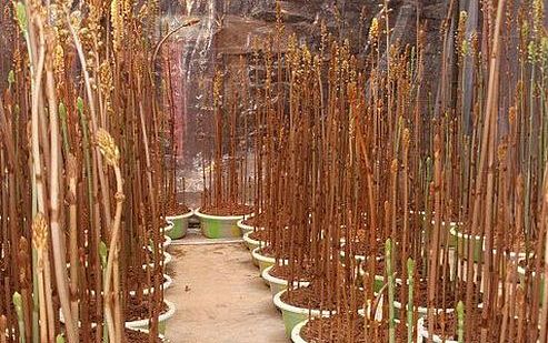 贵阳保税区启动“保税展示交易” 促跨境电商发展“火狐电竞官网”(图2) 火狐电竞