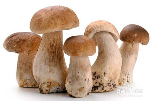 A/W深圳时装秀 跨界娱乐宣布将订制奢华娱乐服务带进全亚太:火狐电竞平台(图4) 火狐电竞