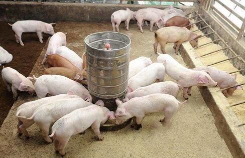 【火狐电竞官网】黄维德献唱《单身女王》 台词成热门话题堪比《蜗居》(图1) 火狐电竞平台