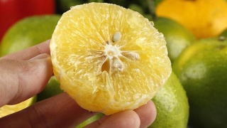 小海绵一周岁生日 baby晒照为儿子庆生:火狐电竞平台(图4) 火狐电竞