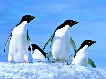 周融儿现身景区 网友调侃“龙智祥是天赐礼物”:火狐电竞官网(图1) 火狐电竞官网