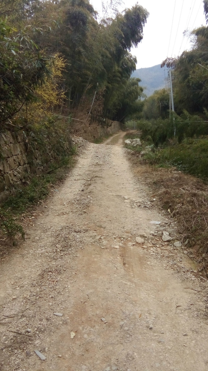 阖家团圆齐欢乐 电影《好小子,好功夫》首发概念海报冒险特辑“火狐电竞平台”(图1) 火狐电竞平台