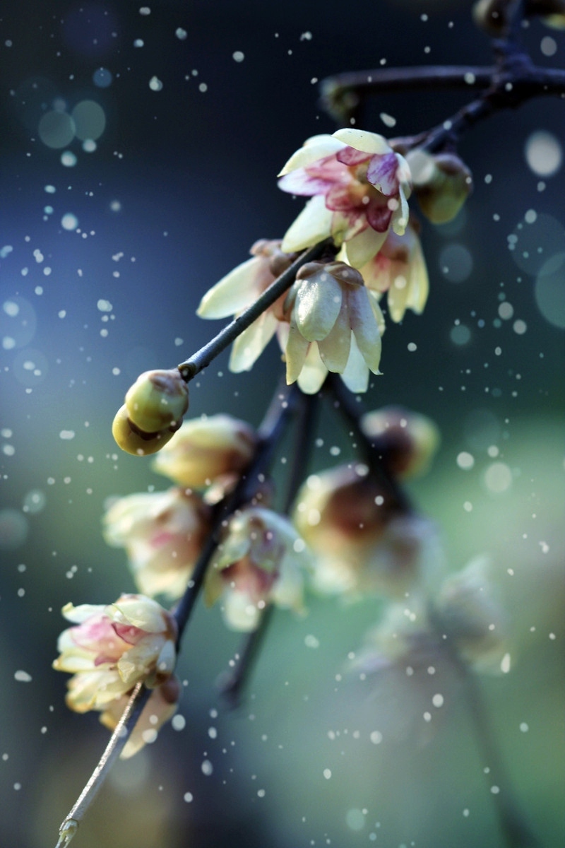 【火狐电竞平台】新锐导演刘杨作品获国内一线视频网站力捧(图2) 火狐电竞官网