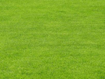 【火狐电竞官网】美国乐坛四大花旦PK Katy Perry一枝独秀(图4) 火狐电竞