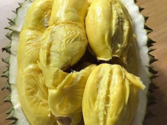 火狐电竞-蔡晓、王欣婷《寂寞咖啡》喜获音乐先锋榜金曲奖(图2) 火狐电竞平台