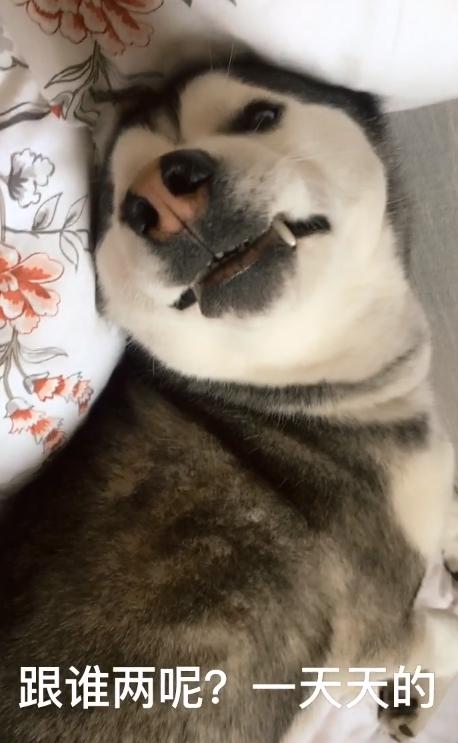 重庆联合丽格整形医院副院长刘明亮受邀参与大渝网访谈‘火狐电竞’(图3) 火狐电竞平台