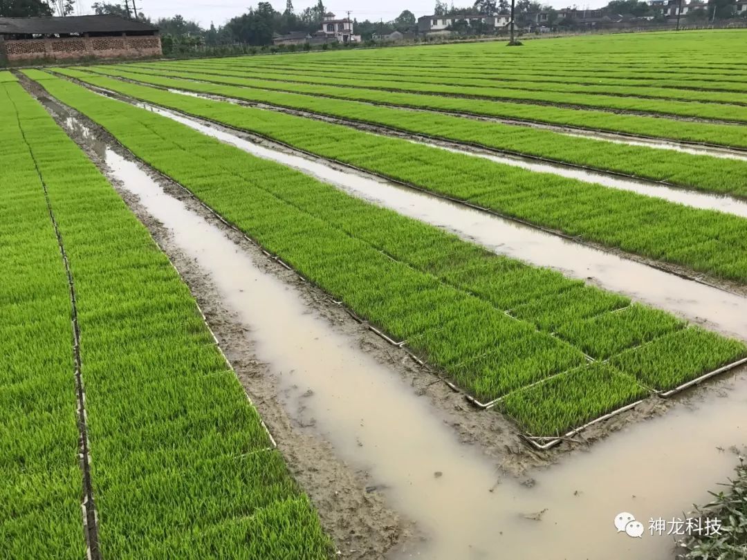 和平精英训练模式地图什么时候出 训练模式地图上线时间-火狐电竞(图3) 火狐电竞官网
