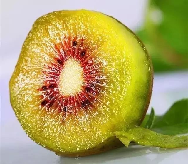 ReFa,“V力变身”,为美而战_火狐电竞(图2) 火狐电竞