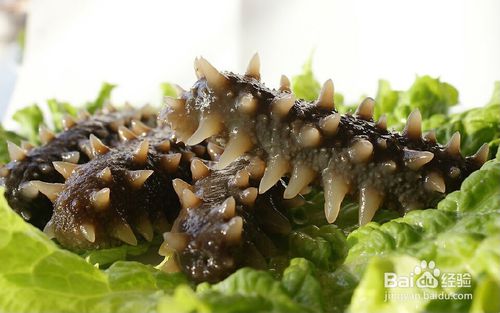 “小姨妈”邓家佳离婚了,可她当年穿过的婚纱都超美:火狐电竞(图1) 火狐电竞官网