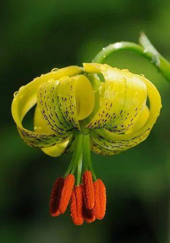 ‘火狐电竞官网’高效时代,给你的“新北京生活”提个速!(图1) 火狐电竞