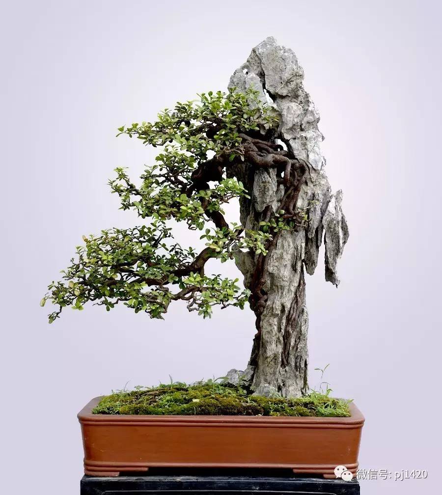 火狐电竞平台-府西社区:上门为百岁老人体检(图1) 火狐电竞