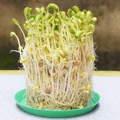 火狐电竞平台