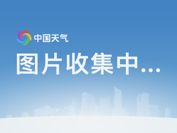 火狐电竞