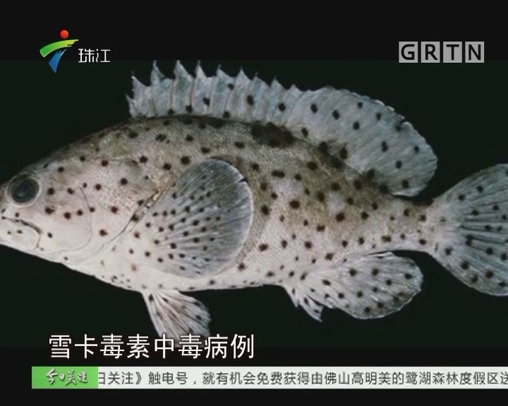 CF手游王者之影评测 至尊王者巅峰问世:火狐电竞平台(图1) 火狐电竞平台